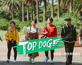 91杏吧在线《TOP DOG》免费在线观看