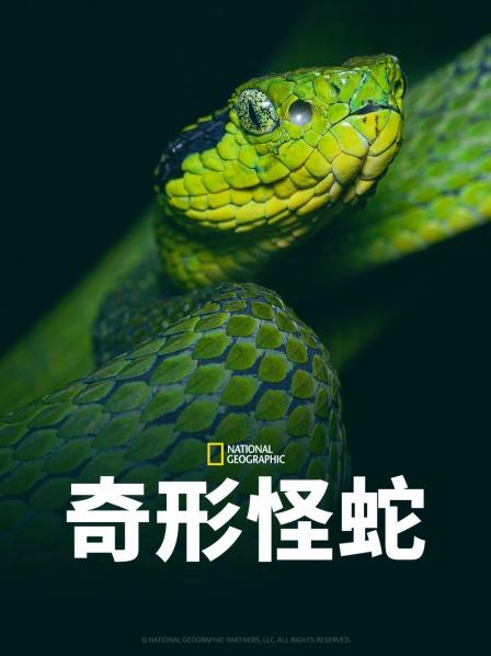 91果冻《奇形怪蛇》免费在线观看